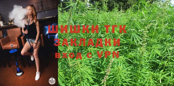 ГАЛЛЮЦИНОГЕННЫЕ ГРИБЫ Беломорск