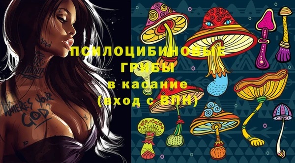 дмт Балахна